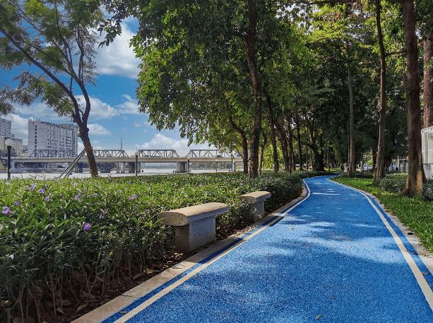 大坦沙岛环岛碧道1.27公里东岸段正式完工!