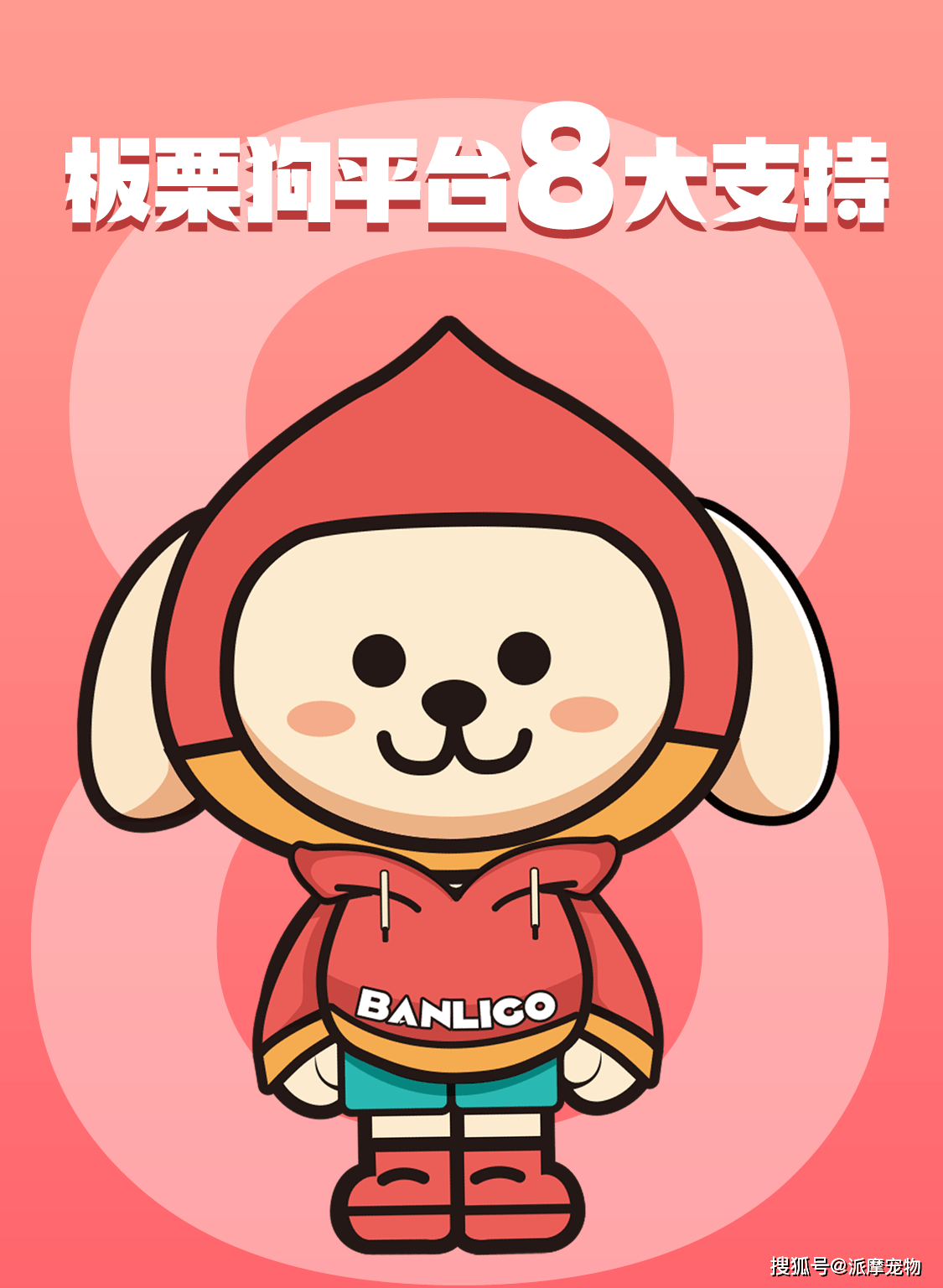 共赢支付平台是真的吗_共赢支付_共赢支付是怎么回事