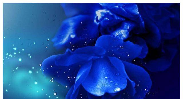 9月16日起万事大吉 鸿运当头 日子更美满的四大星座 样子 9月16日起万事大吉 鸿运当头 日子更美满的四大星座 样子