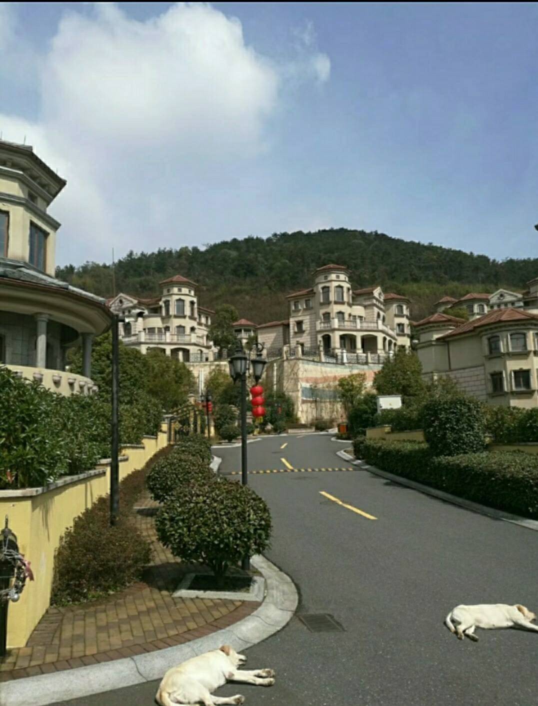 中奥美泉宫 ;湖州唯一在售伴山稀缺高尔夫温泉独栋别墅_配套_项目