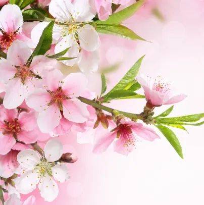 11月21日 11月30日运势最好的星座 天秤座