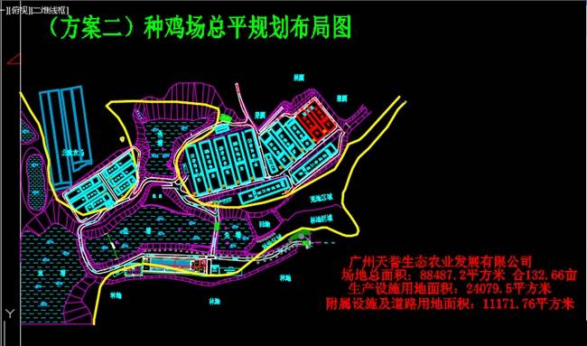 养鸡的前景分析(2020养鸡前景如何?还赚钱吗?)