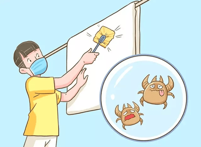 榄菊科普:被子晒不了太阳该怎么除螨?_吸尘器