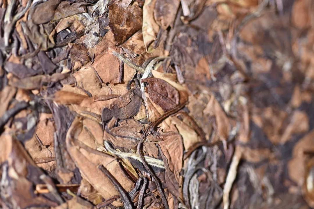 味蕾|金虎贺岁即将重磅上市