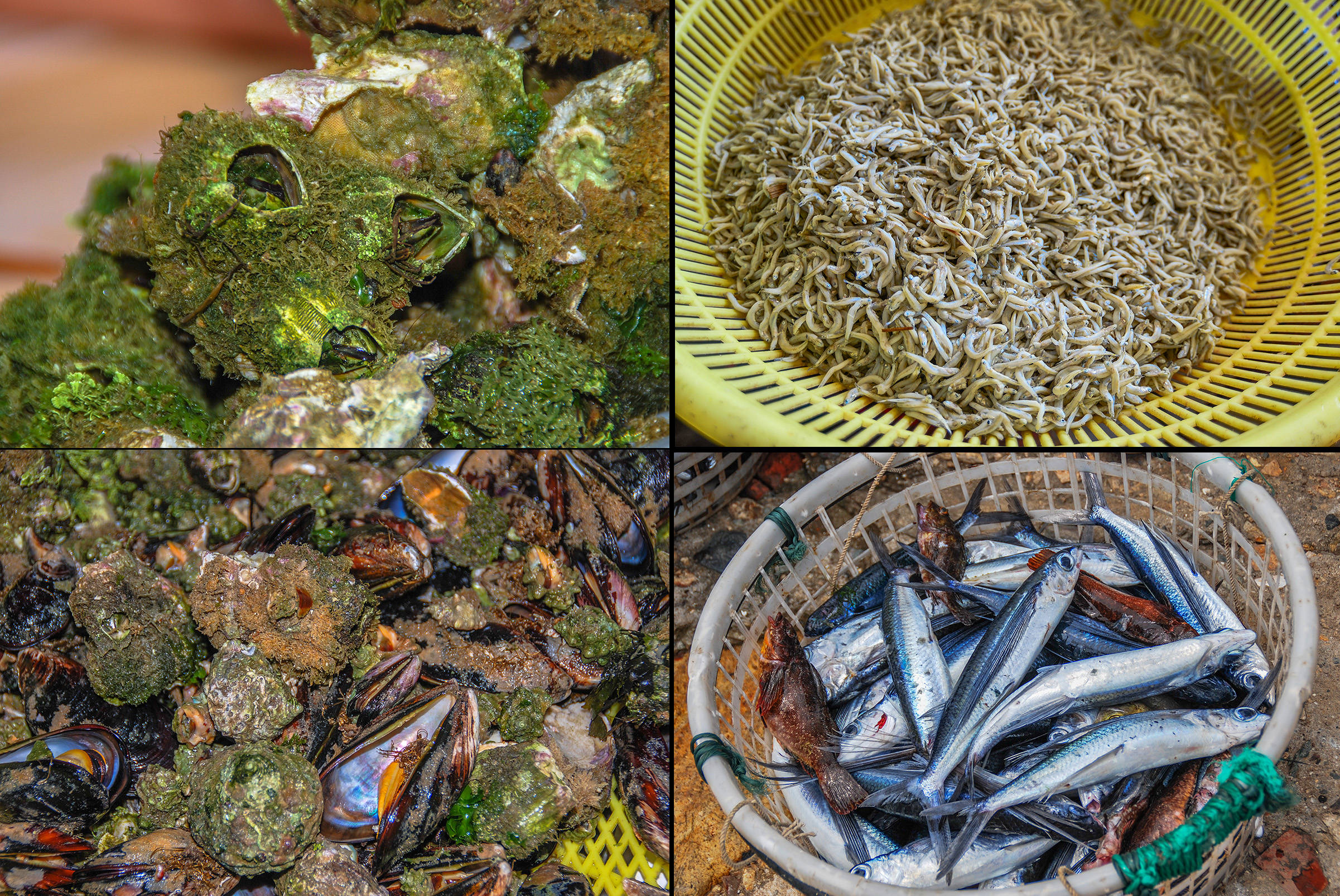 江浙|江浙地区海水最蓝的大型岛屿，盛产海鲜的著名海钓胜地，渔山岛