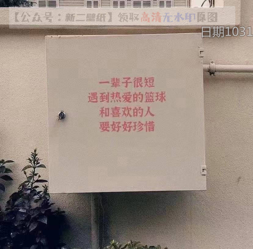 多打籃球多出汗少談戀愛少扯淡圖片背景圖壁紙抖音熱門朋友圈封面