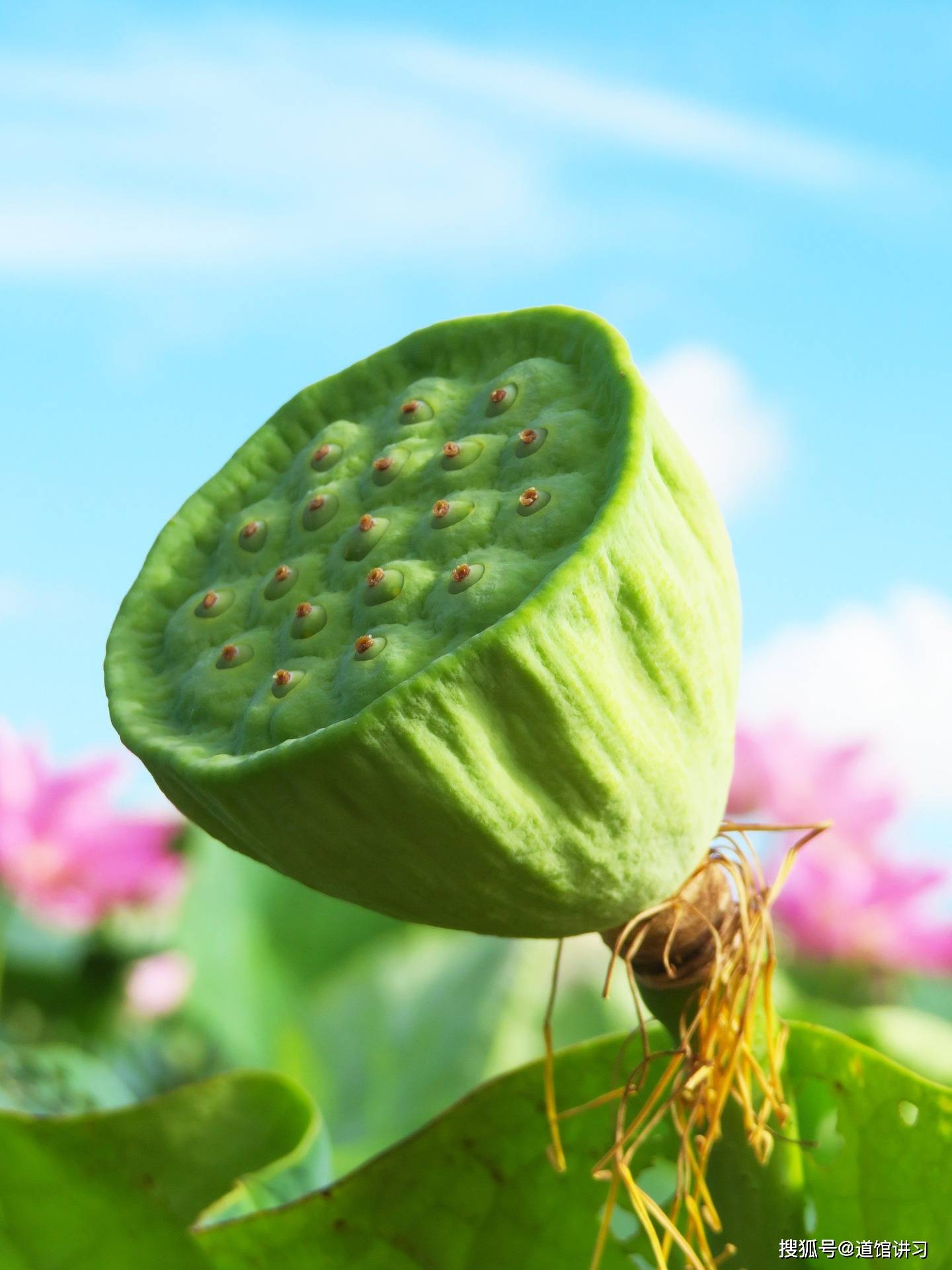 十、《黄帝内经》： 恬淡虚无，真气从之，精神内守，病安从来。_搜狐网