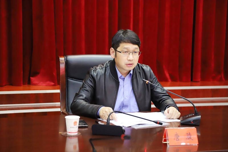 桃源县召开第五次道安委全会暨戴帽工程专项行动推进会