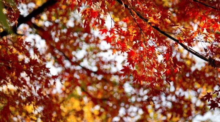 拿时间换空间活下去，家电经销商第一步是暴露短板-家电圈官网