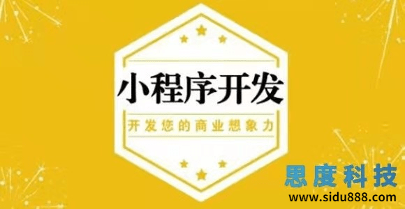 选择定制化的方式去开发小程序更好吸引客户