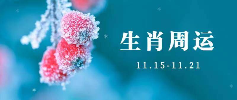 单身者|12生肖一周运势预报(11.15-11.21)