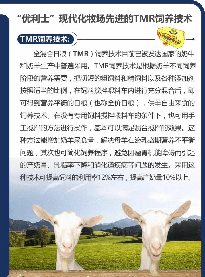 中国羊奶城奶源图片