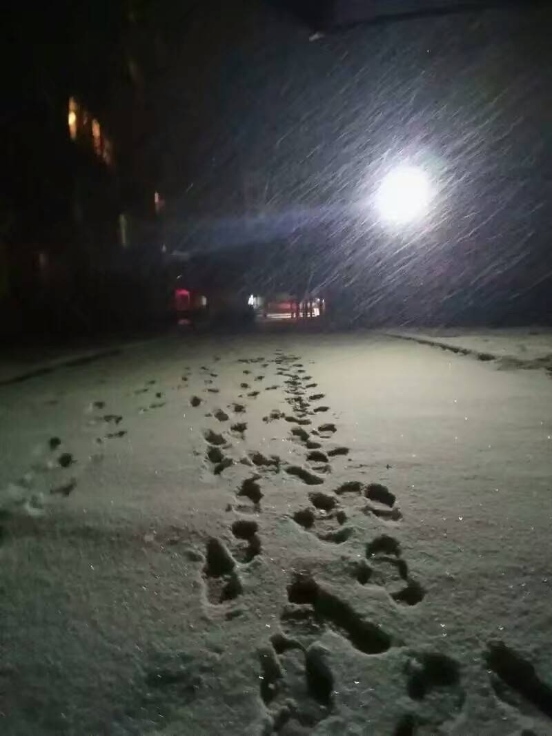 雪夜中的那抹灯光