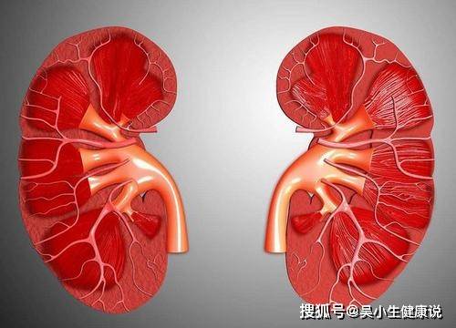 睡眠|高血壓和腎病會“同患難”，做好三件事才能保腎