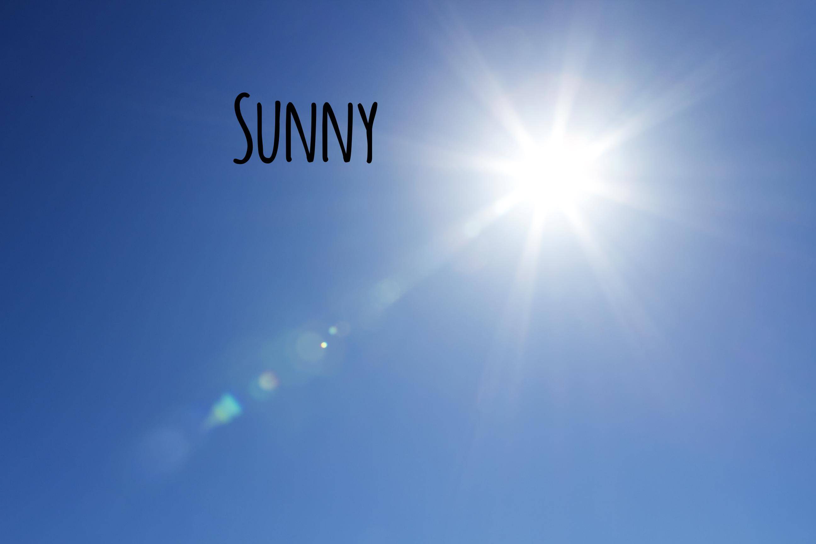 sunny weather:sunshine: the heat and light of the sun.