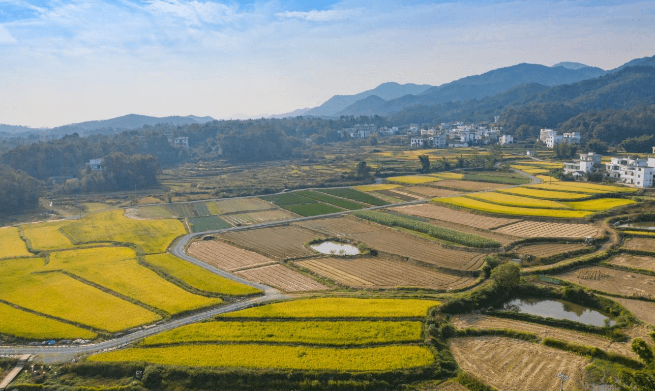 赣州市南康区浮石乡图片