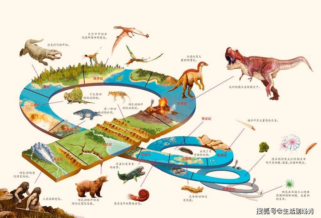 原创巴西发现13万年前史前隧道挖掘痕迹清晰但建造者不是人类
