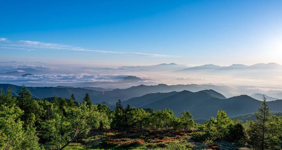 中国家电的发展韧性和后劲都很充足-家电圈官网