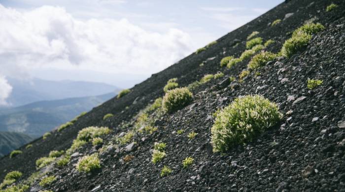 两季产品这个小市场，家电厂商们其实大有赚头-家电圈官网
