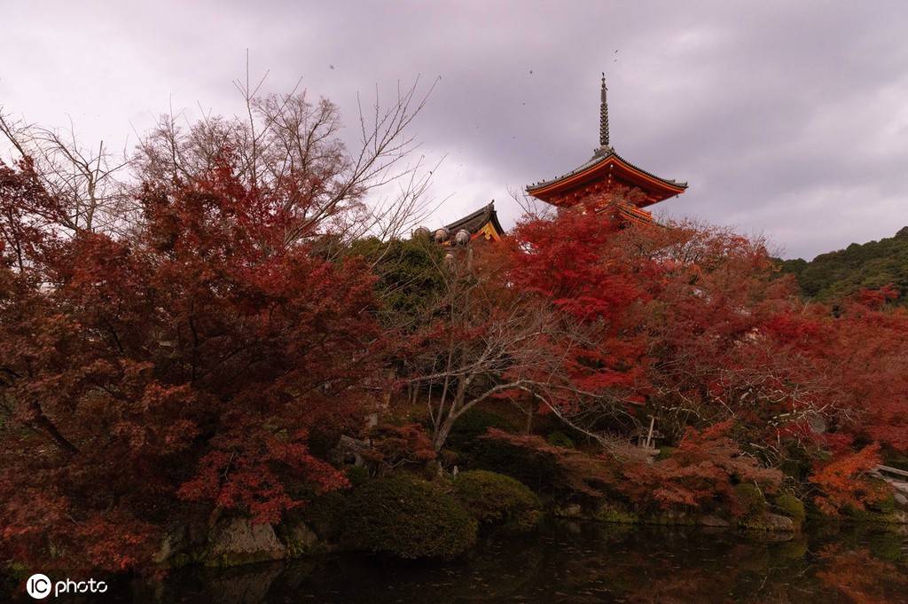 日本京都清水寺秋日風景 紅葉美到窒息