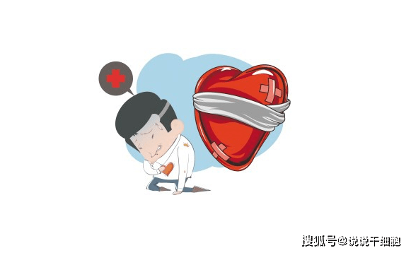 干细胞怎么治疗心脏病原来心脏病跟免疫细胞有关系