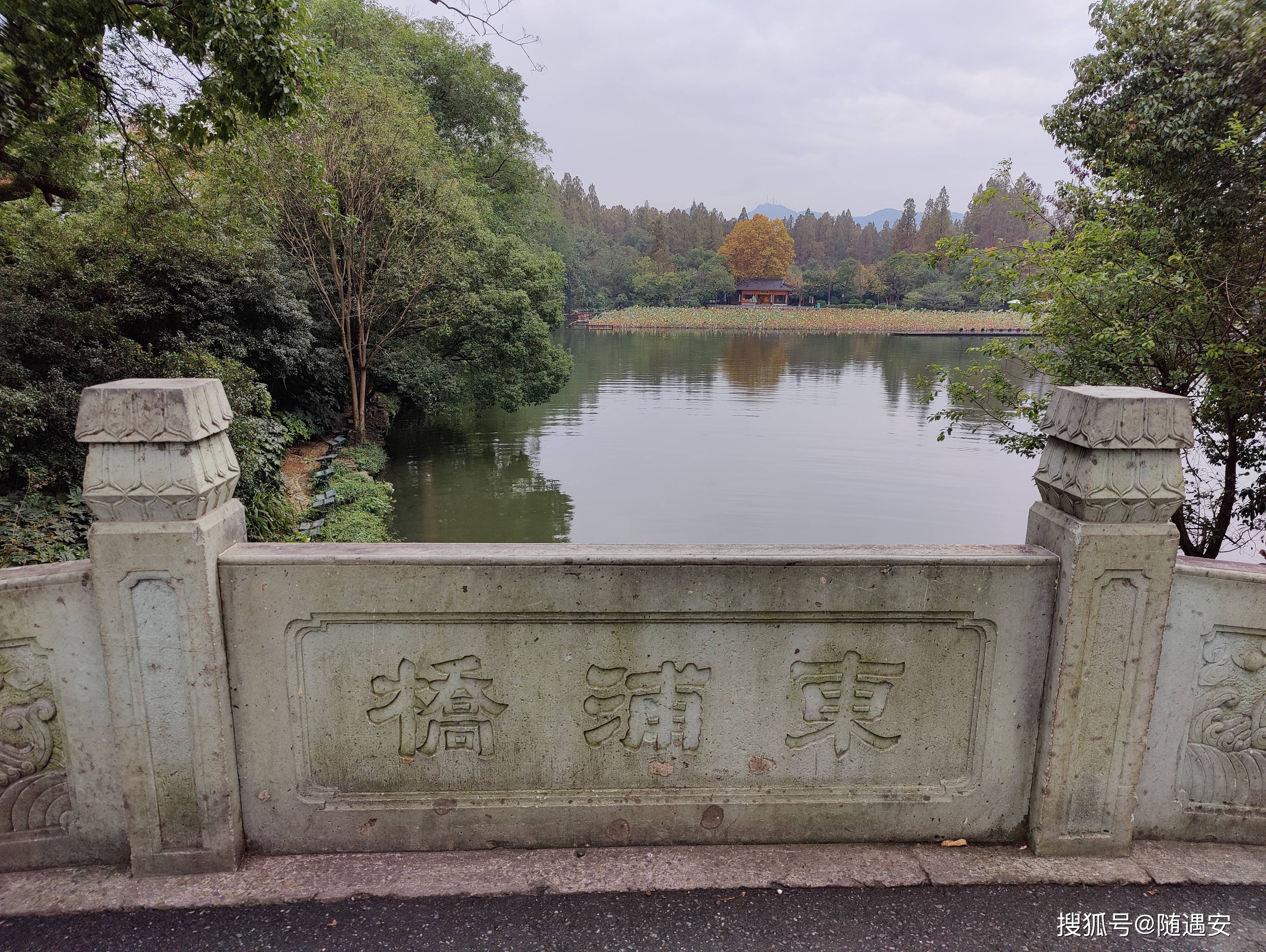 千金骨苏题春图片