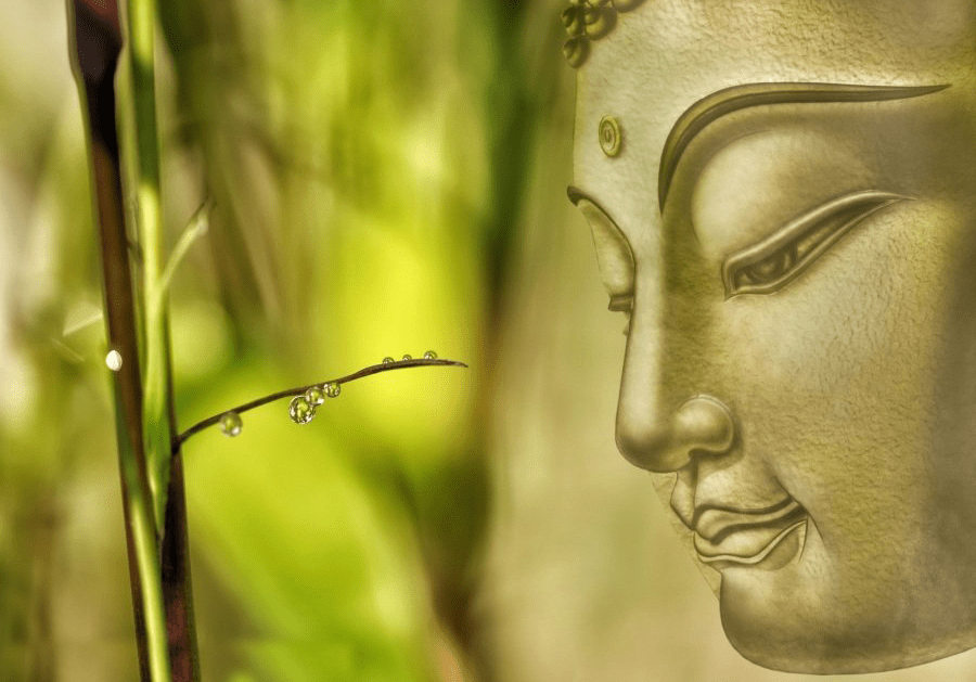 凡夫学佛修行断除我执方可入初圣成罗汉,罗汉又分四果;进而断除我法二