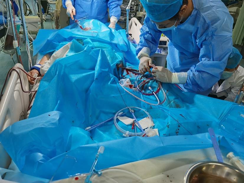 成功|成功救治致命出血热！西安交大一附院东院区成功开展首例ECMO技术