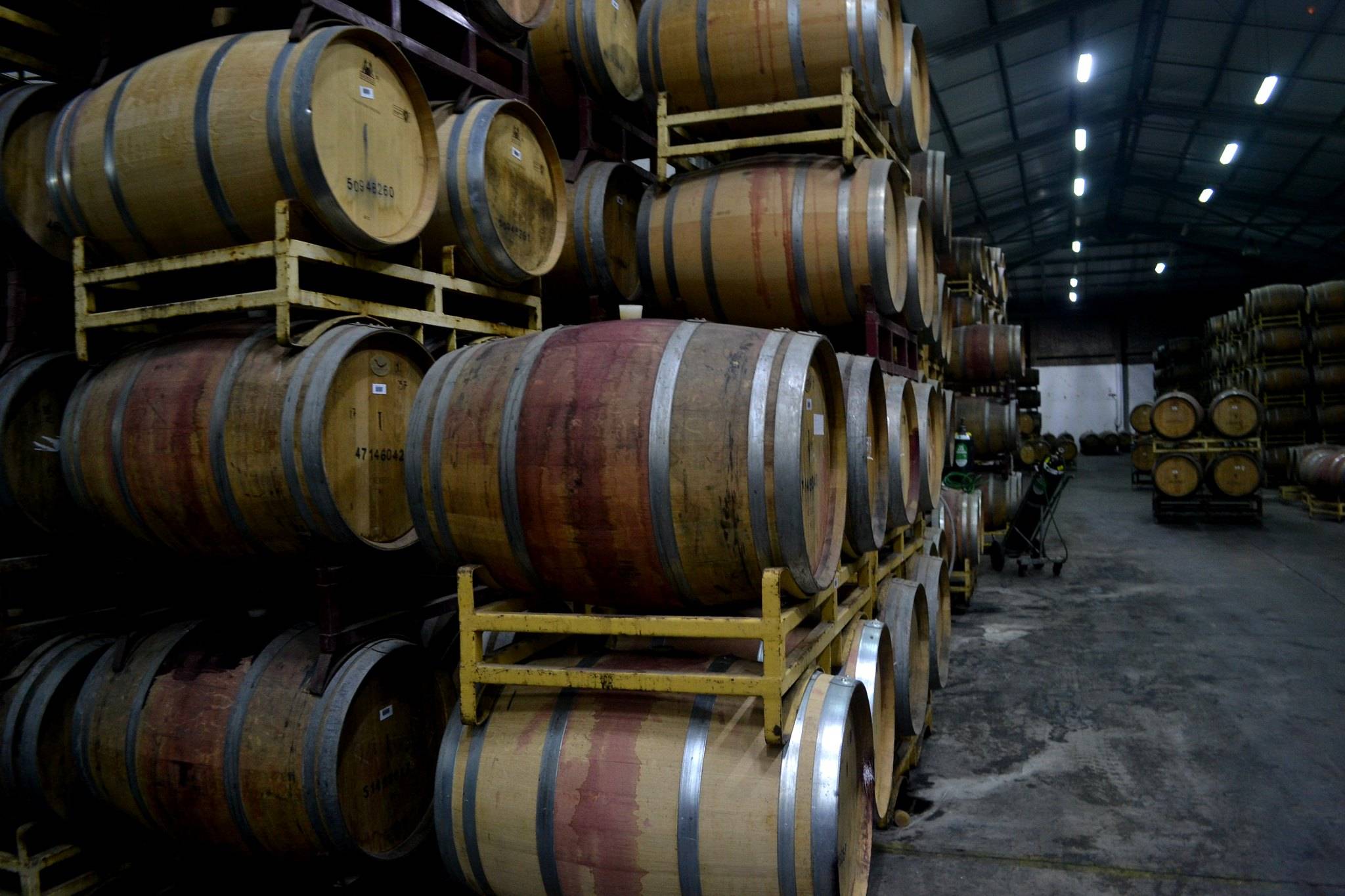 家族|最牛的家族：诞生过4位总统，足足影响了该国数百年时间