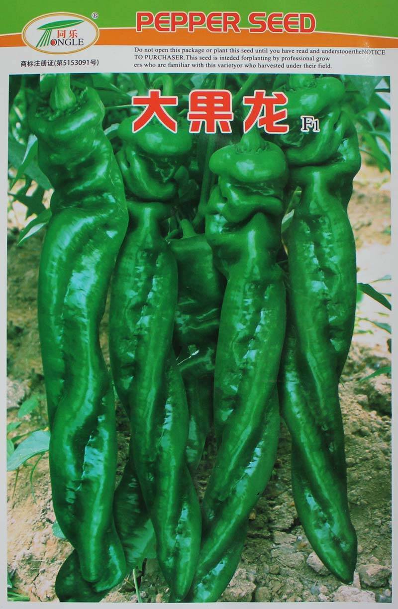 大果龙椒螺丝椒辣椒种子