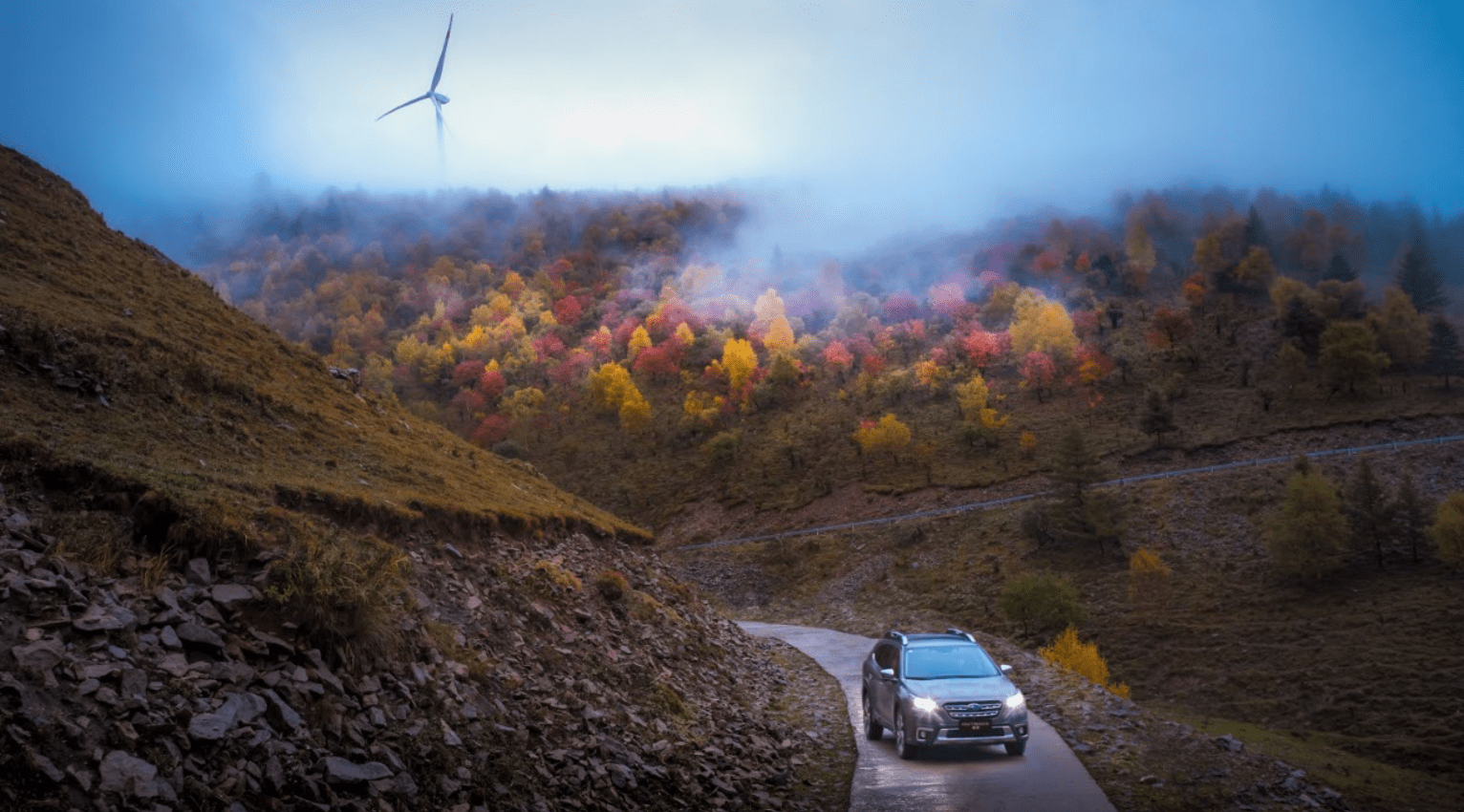 斯巴鲁森林人带来旅途好心情
