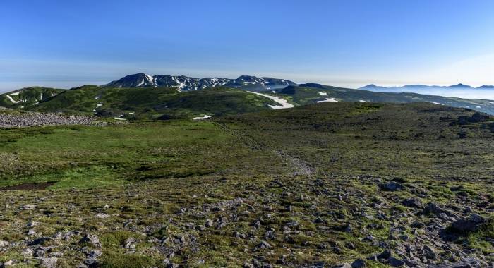 家电企业接下来要办两件事：渠道避免互殴，产品满足用户-家电圈官网