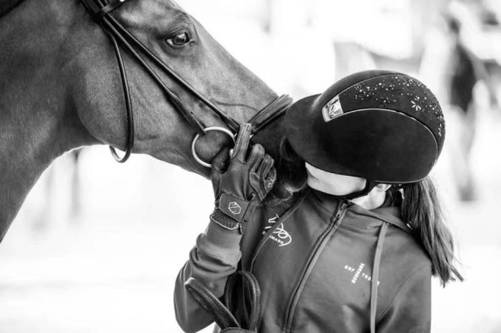 什么|马儿也是零食控!哪些零食会受到马儿的疯狂点赞呢?