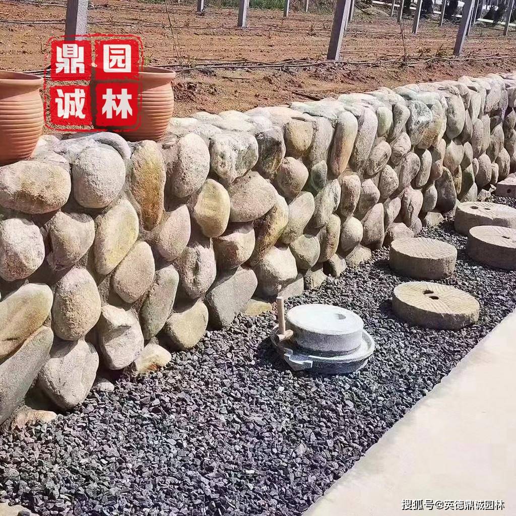 d46dda44f5dc4317a5f5762761e6bac7.jpeg