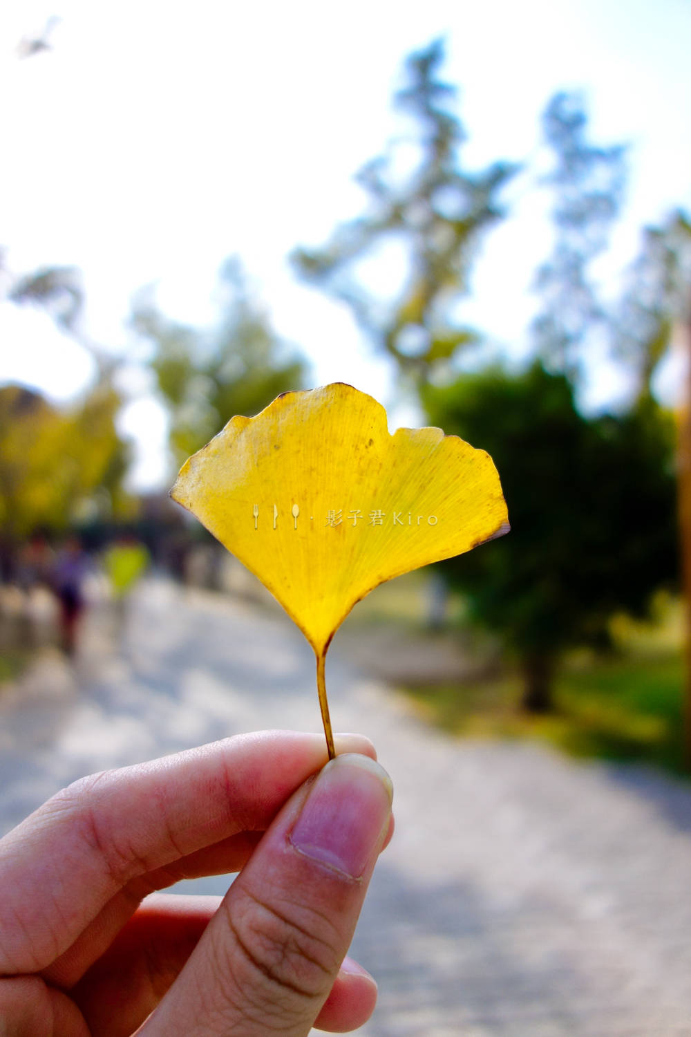 湿地|全国第三大淡水湖，苏州太湖，这里的水风车真是太好看了，你来过没