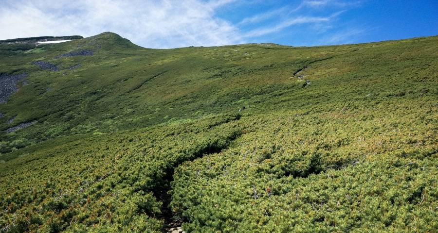 家电零售渠道碎片化的幕后主角,不是资本而是用户-家电圈官网