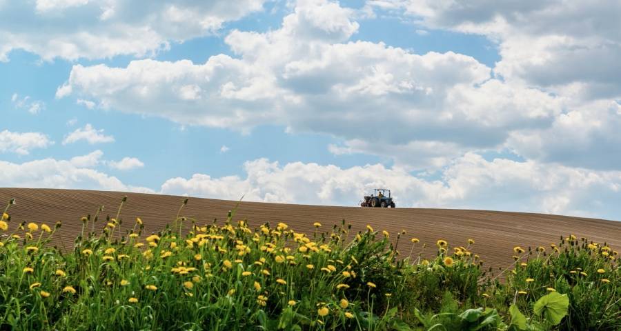 引领家电市场竞争企业要掌握四个手段-家电圈官网