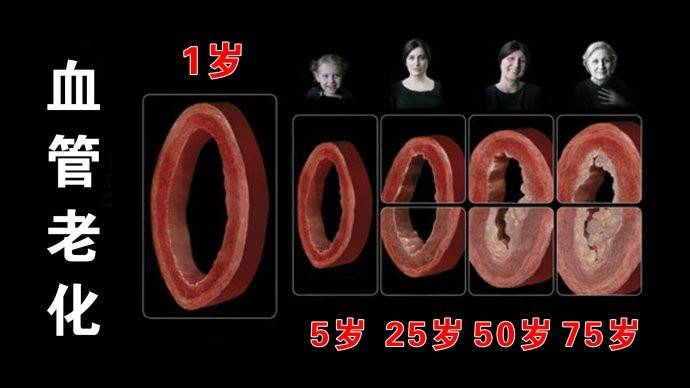 月经为什么是黑色的血块