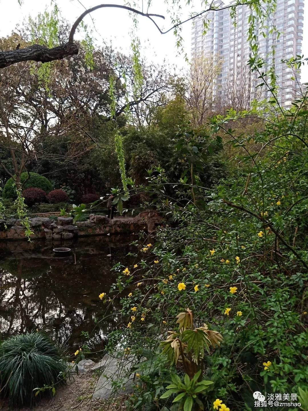 上海蓬莱公园王伯伯 淡雅美景搜狐大视野搜狐新闻