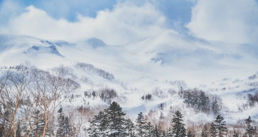 家电产业新年唱新曲，长虹康佳格力日立苏宁美的海尔海信迎春来-家电圈官网
