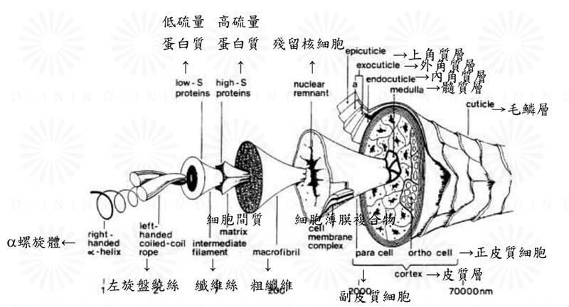 表皮层泡多久碳酸泉对毛鳞片修复及养发有效？