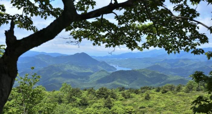 激活家电存量市场，不能“以旧换新”降价还得商业模式创新-家电圈官网