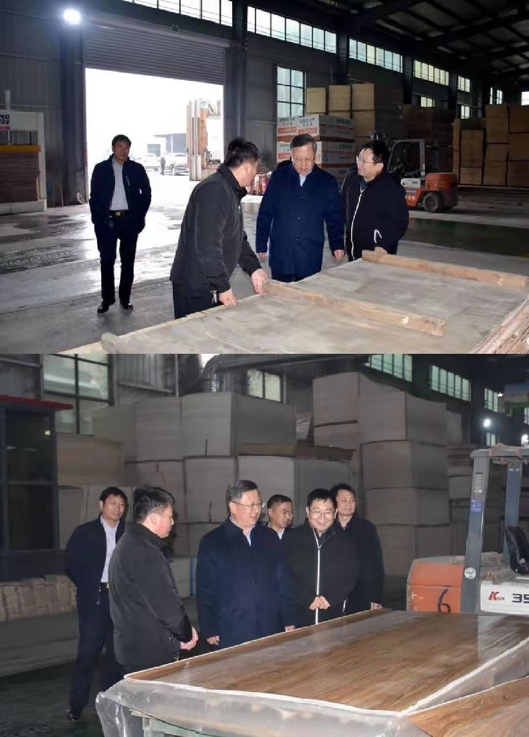 东明县委副书记,代县长赵海林一行到大屯镇调研指导工作_发展_农业