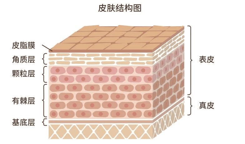 功效U牌：换季常出现的错误护肤姿势，正悄悄毁着你的脸