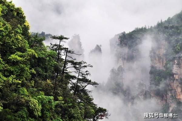 【美文悦读】蜀道上的梦想