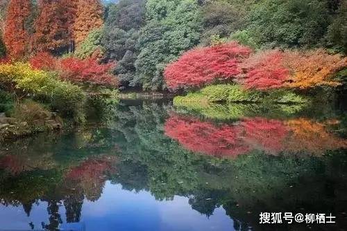 【高考作文】任务驱动型作文标题吸睛大法