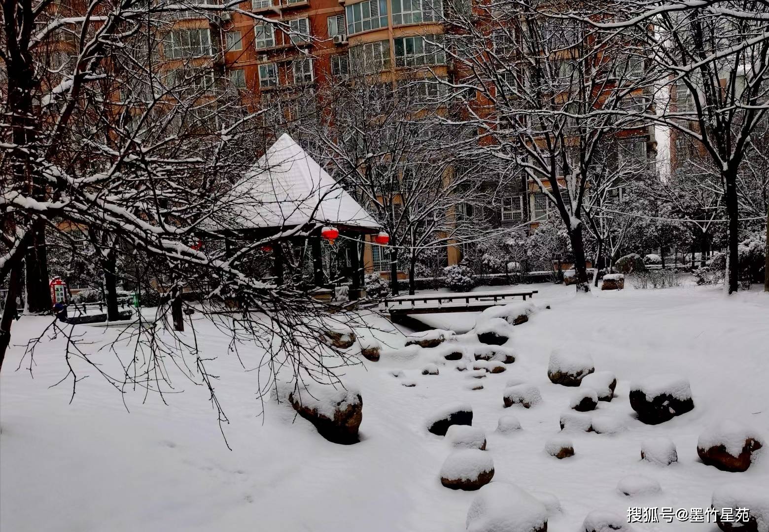 款款深情|【墨竹】多彩的雪