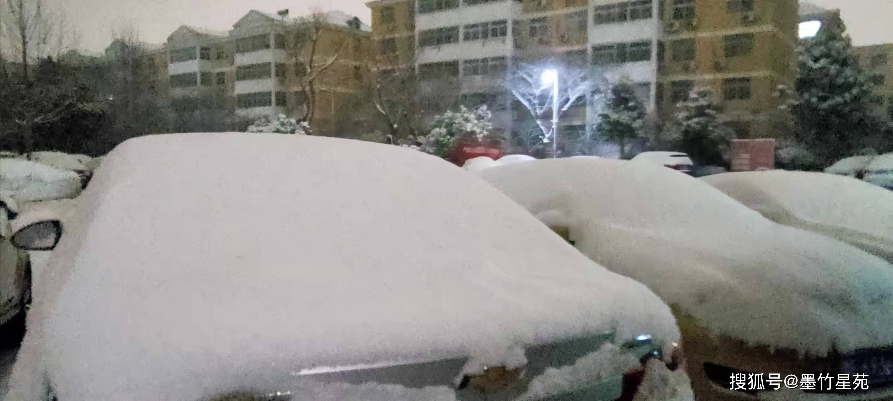 款款深情|【墨竹】多彩的雪