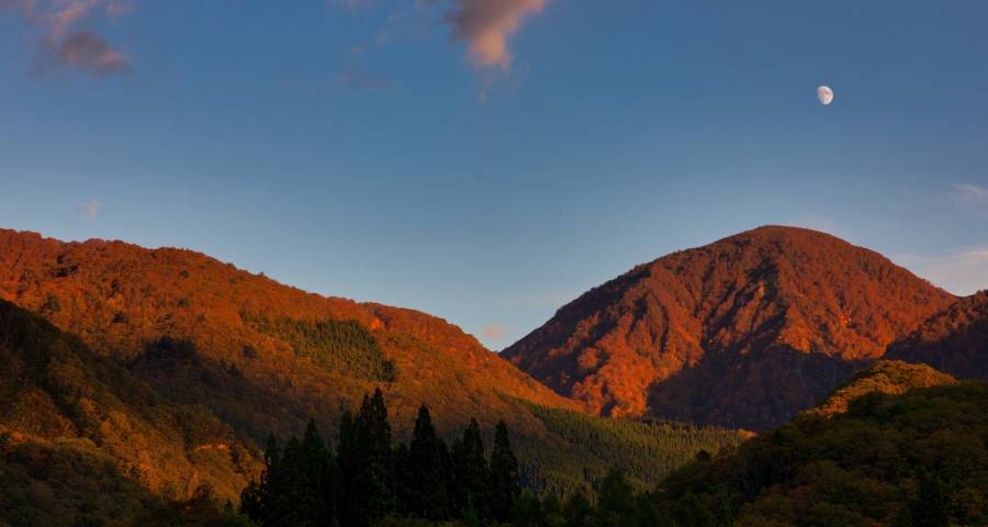 家电零售渠道碎片化只是假象:不是在分散而是巨头集中-家电圈官网