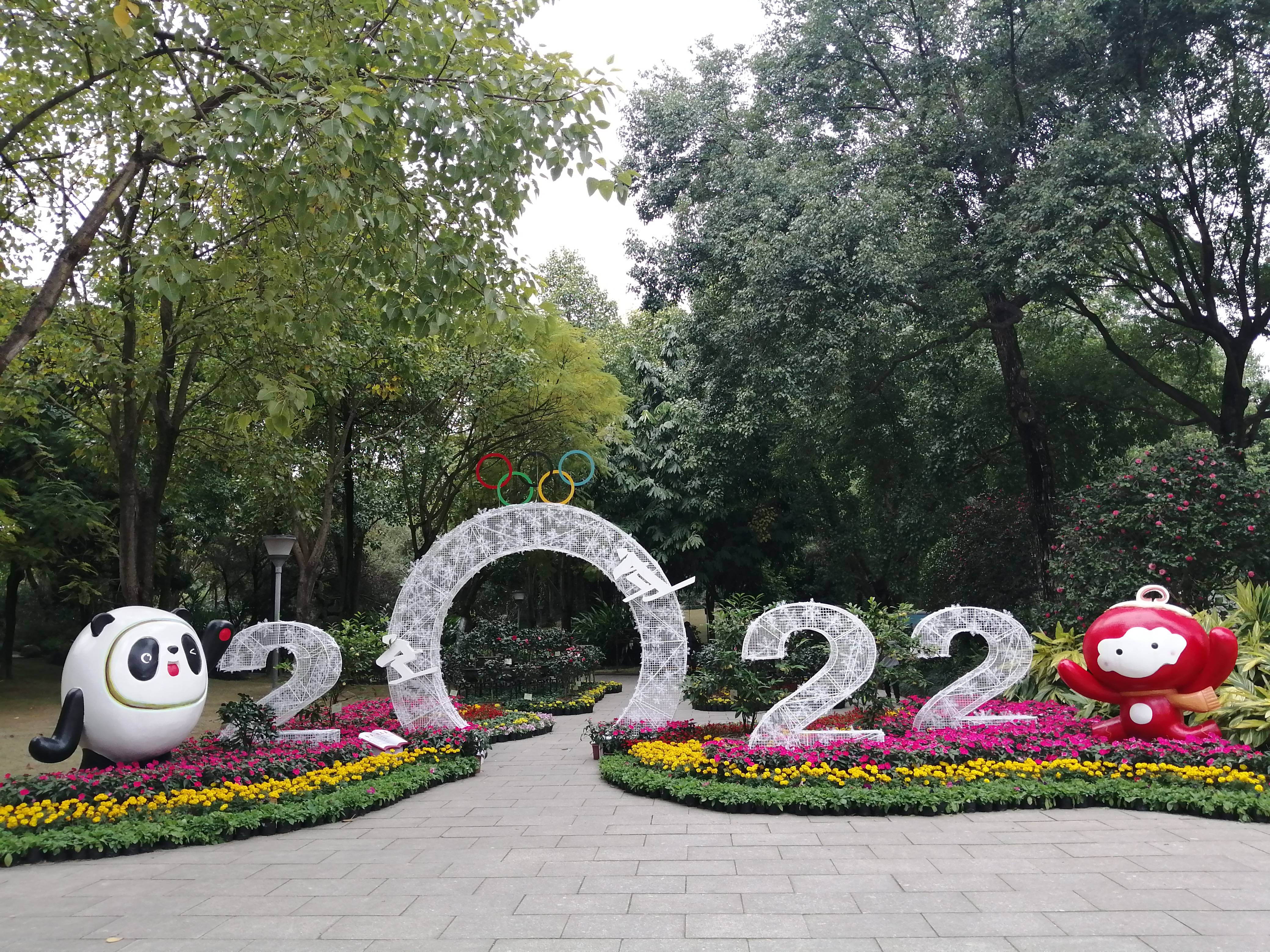 氛围|冰墩墩来了，在南宁金花茶公园，可以感受到喜庆的北京冬奥会氛围